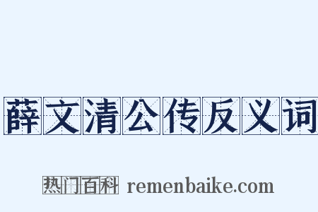 薛文清公传反义词是什么意思的图片